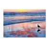 Trademark Fine Art Lori Hutchison 'Venice Beach Sunset' Canvas Art, 12x19 ALI12691-C1219GG